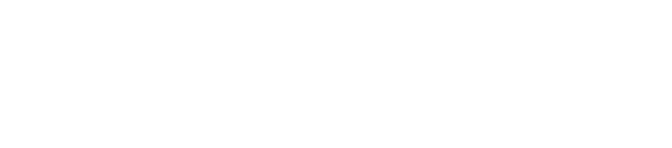 The New Orleans Center for Aesthetics and Plastic Surgery logo